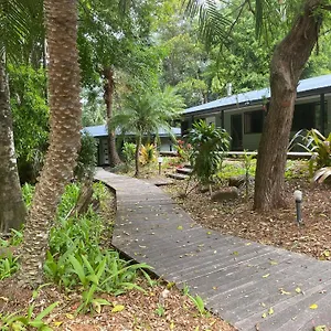 Koala Sunshine Coast Mapleton